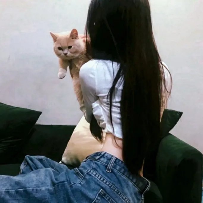 翼·年代记第一季
